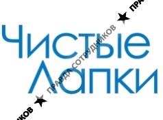 Ковчег Спб
