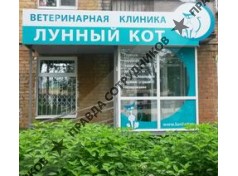 Лунный кот