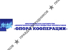 Опора кооперации, МСКК НП