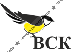 Консалтинговая Компания ВСК