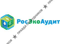 РосЭкоАудит