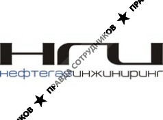 Нефтегазинжиниринг, НПП