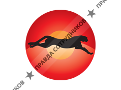 Гепард - экспресс, Курьерская служба