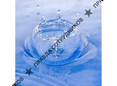 СинТекс, ПТК