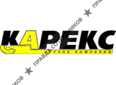 Карекс-Центр, Группа компаний