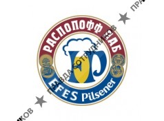 Кравченко Ксения