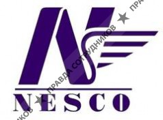 Неско Казань