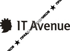 IT Avenue