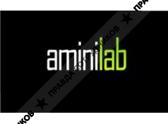 Amini Lab