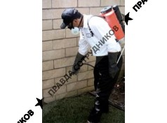 Совин Роман