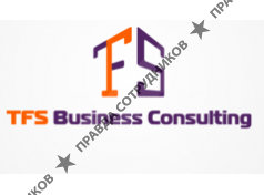 TFS Business Consulting