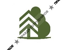 Зеленый лес