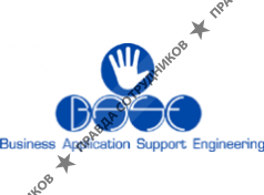 B.A.S.E. ( Business Application Support Engineering )