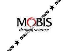 Mobis Module CIS