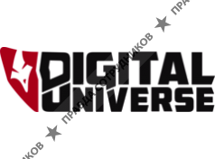 Digital Universe