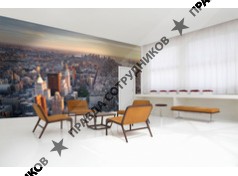 Лидер-потолок