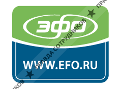 ЭФО, Санкт-Петербург