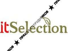 IT_Selection