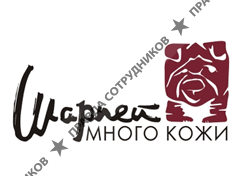 Шарпей, Сеть розничных магазинов