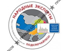 Общественное движение «Народные эксперты»