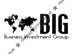 Бизнес Инвестмент Групп