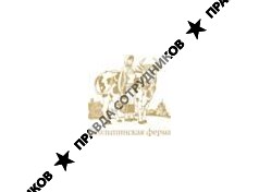 Уткин Денис Владимирович