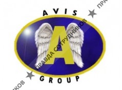 Avis Group