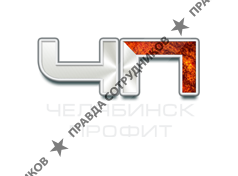 Челябинск Профит