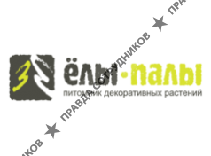 Ёлы-палы