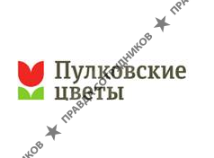 Пулково-Цветы