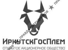 Иркутскгосплем
