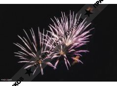 Муниципальное автономное учреждение Праздник