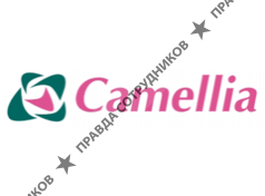 Камелия,ООО