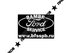 BambR Ford Service