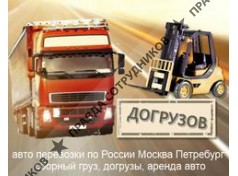 Догрузов