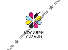 Колибри Дизайн, Веб-студия