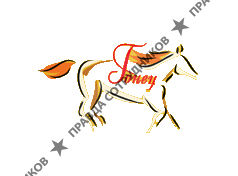 Гонец, ООО, г.Казань