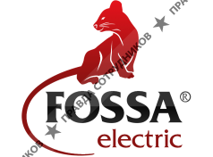 Fossa Electric