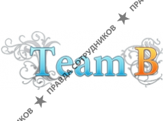 Team-B, веб-студия
