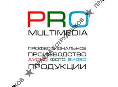 Pro-Multimedia, компания