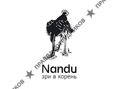 Нанду