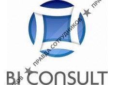 BI Consult