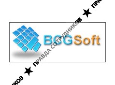 BCGSoft Co Ltd.