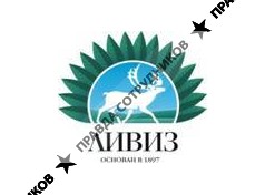 ЛИВИЗ, Группа компаний