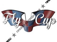 FlyCup