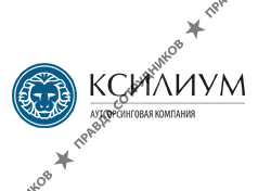 Аутсорсинговая компания «КСИЛИУМ-КОНСАЛТИНГ»