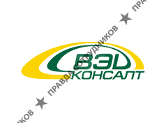 ВЭД Консалт