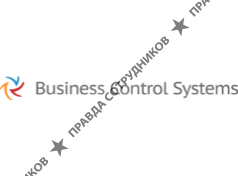 Бизнес Контрол Системс
