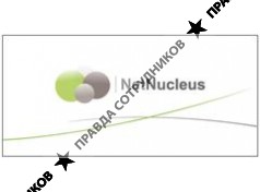 NetNucleus Rus