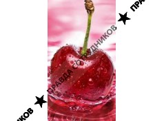 Михайлевский М.Ю.